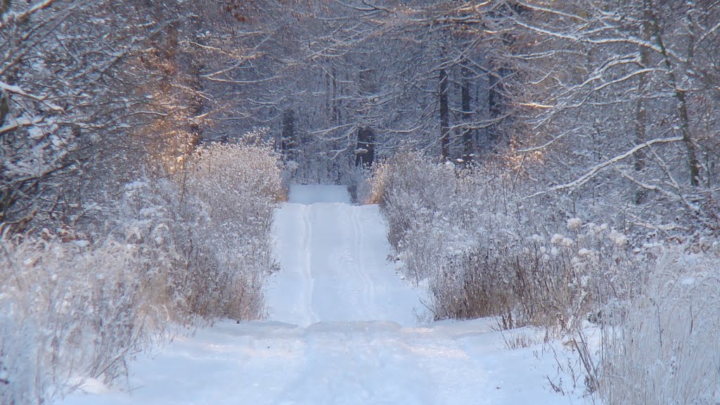 deister-winter